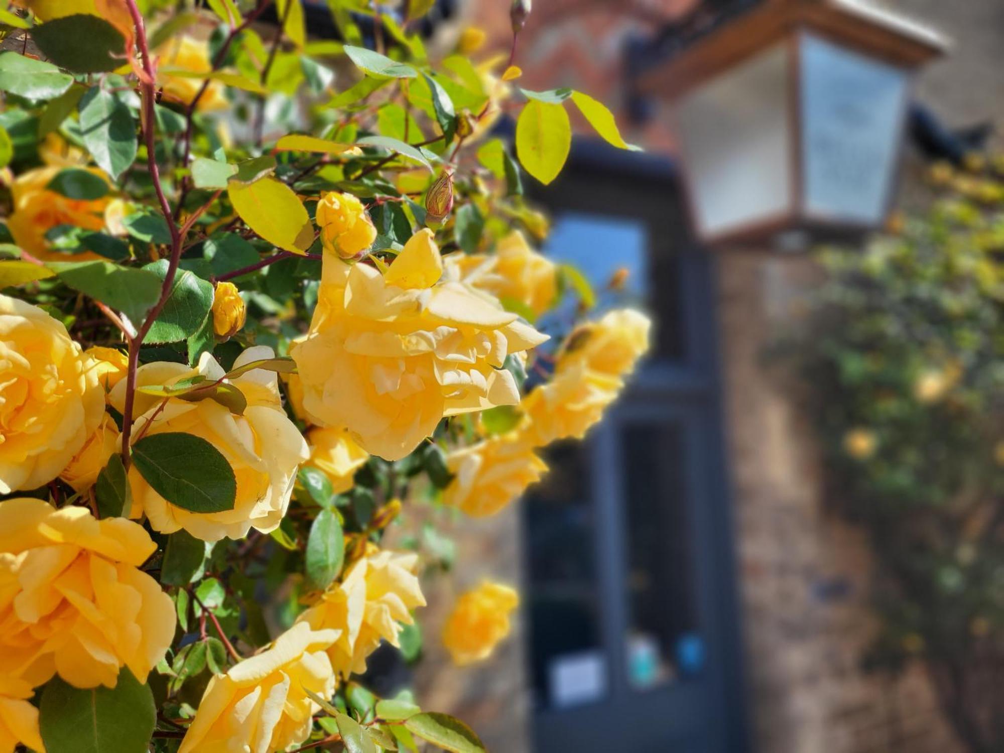 Belle Vue Guest House Denver 외부 사진