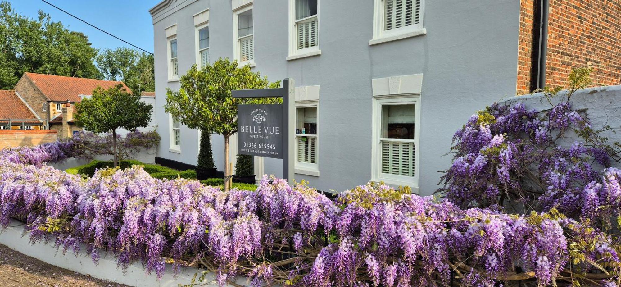 Belle Vue Guest House Denver 외부 사진